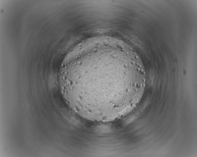 X0000073520236200608211812