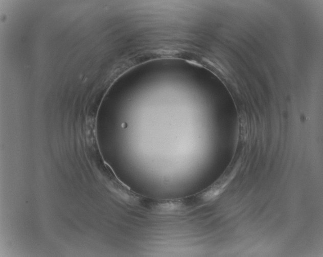 X0000073520237200608211812