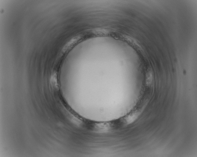 X0000073520238200608211812