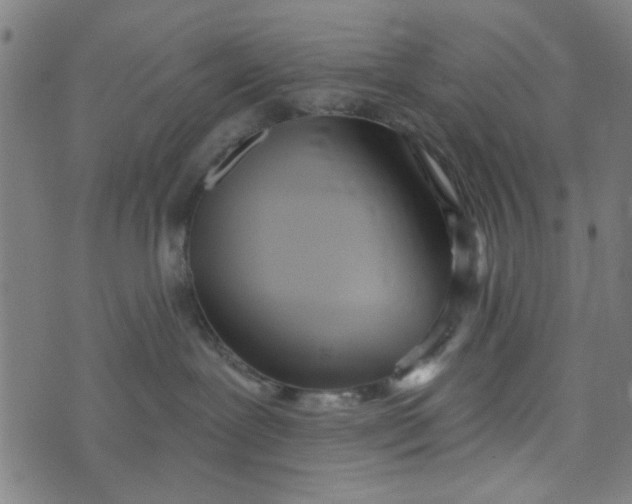 X0000073520239200608211812