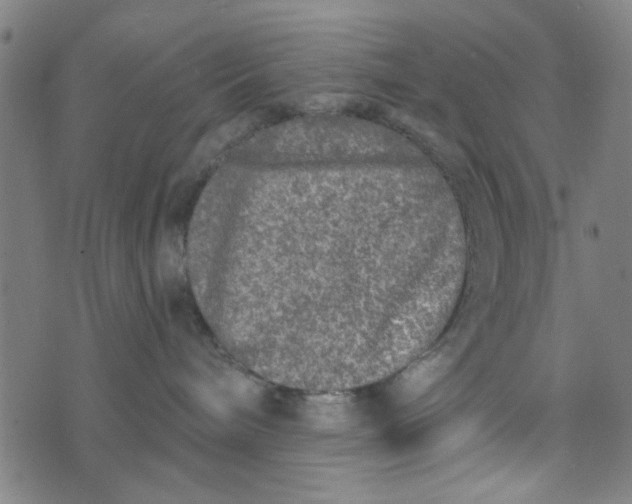 X0000073520240200608211812