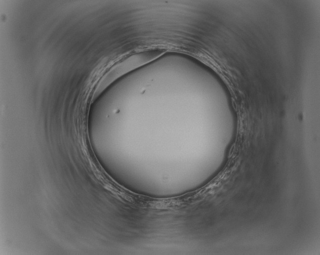 X0000073520241200608211811