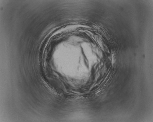 X0000073520243200608211812