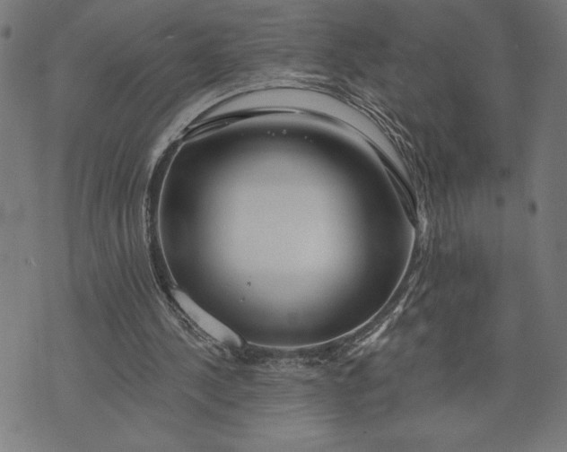 X0000073520244200608211812