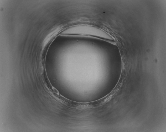 X0000073520245200608211812