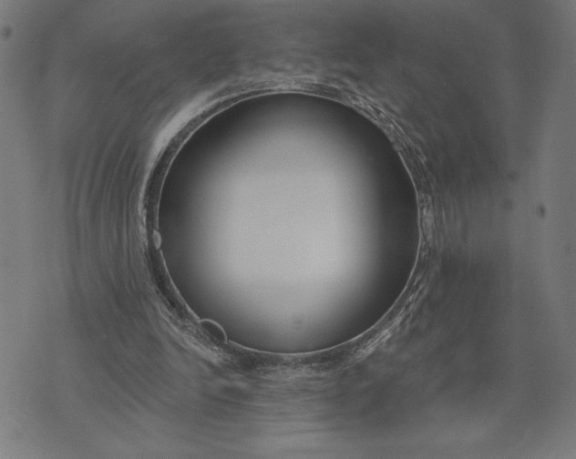 X0000073520246200608211812