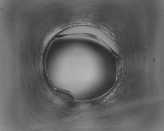 X0000073520248200608211812