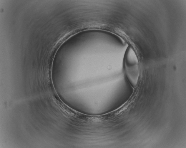 X0000073520249200608211812