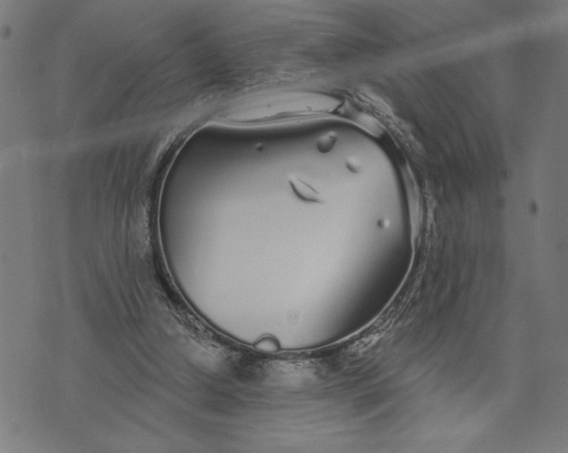 X0000073520250200608211812