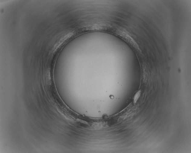 X0000073520251200608211812