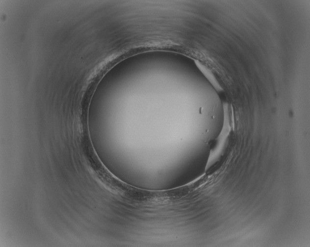 X0000073520252200608211812