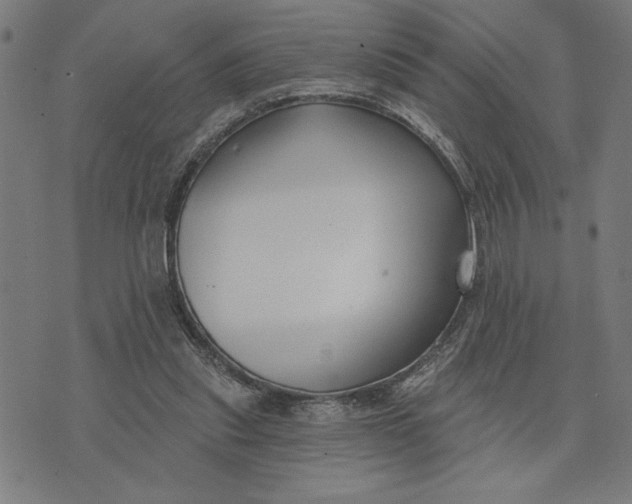 X0000073520253200608211812