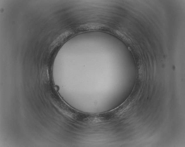 X0000073520254200608211812