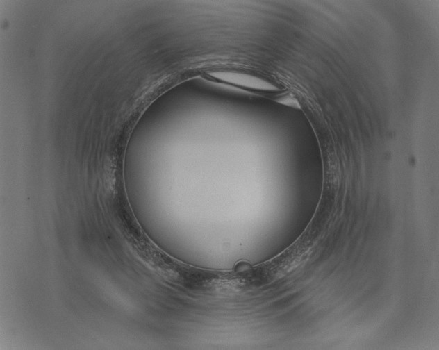 X0000073520255200608211812