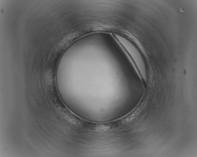 X0000073520257200608211812