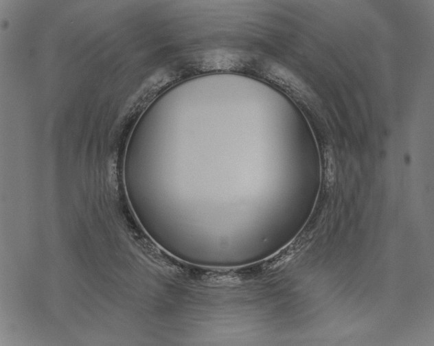 X0000073520258200608211812