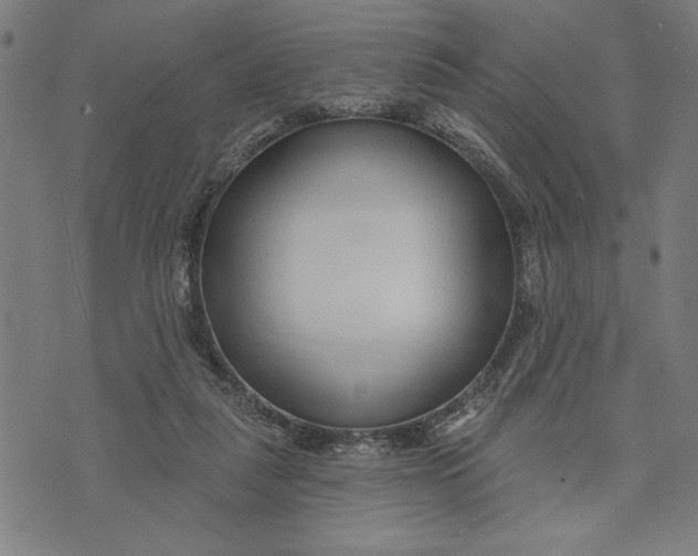 X0000073520259200608211812