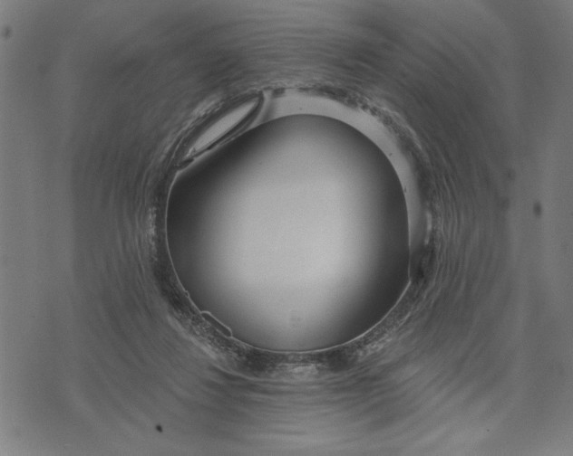 X0000073520260200608211812