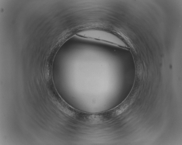 X0000073520261200608211812