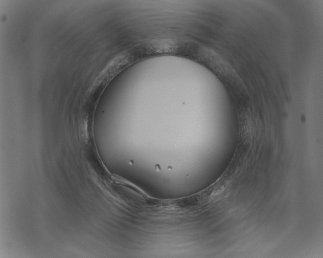 X0000073520262200608211812