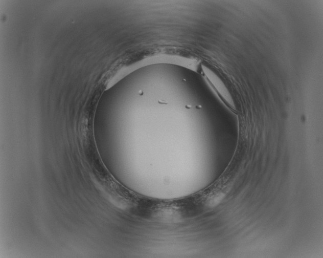 X0000073520263200608211812