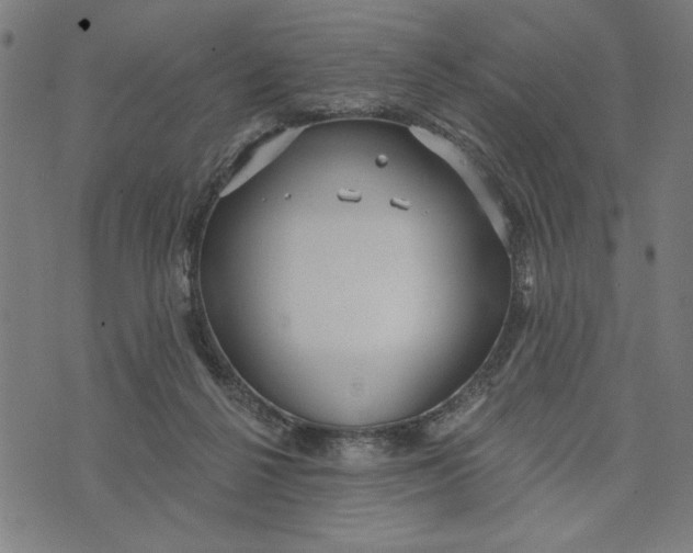 X0000073520264200608211812