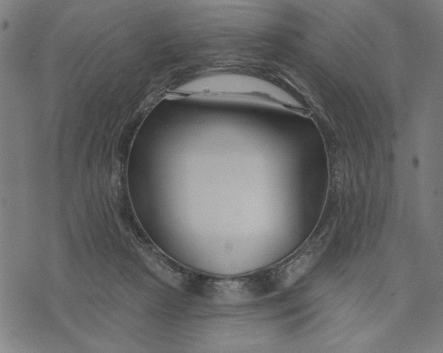 X0000073520265200608211812