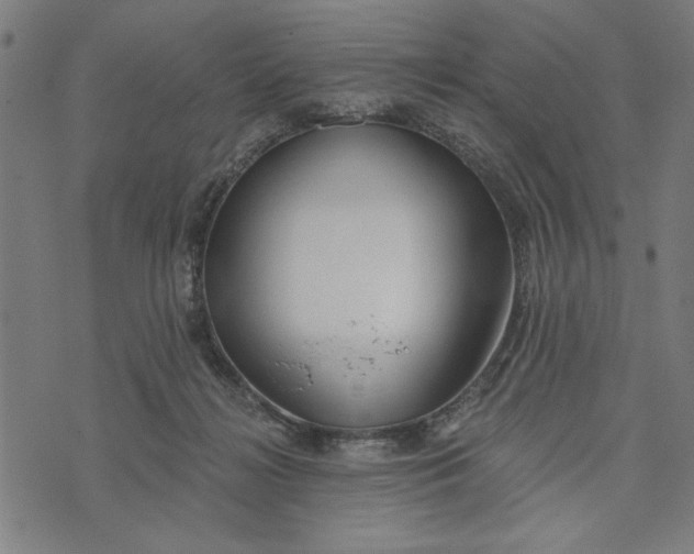 X0000073520268200608211812