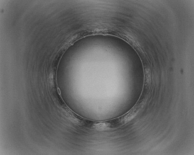 X0000073520269200608211812