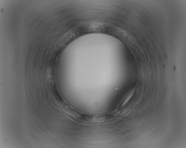 X0000073520270200608211812