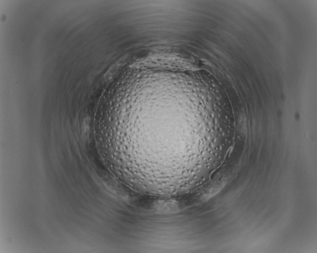 X0000073520271200608211812