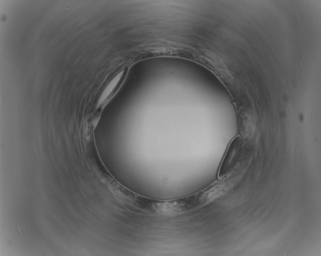 X0000073520273200608211812