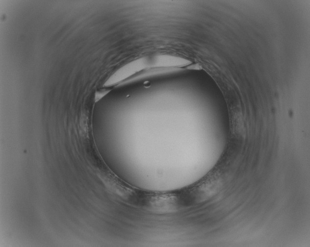 X0000073520274200608211812