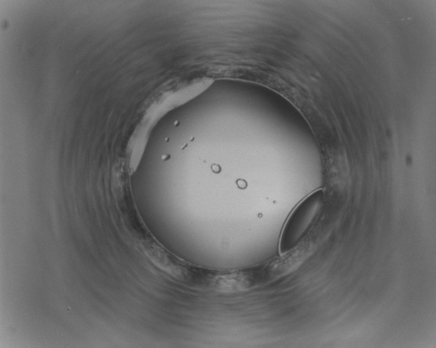 X0000073520275200608211812