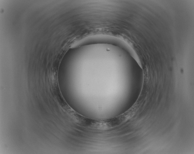 X0000073520276200608211812