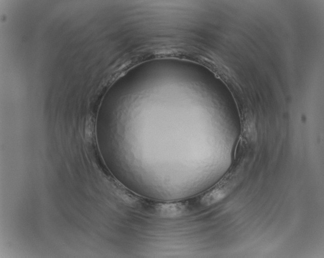 X0000073520277200608211812