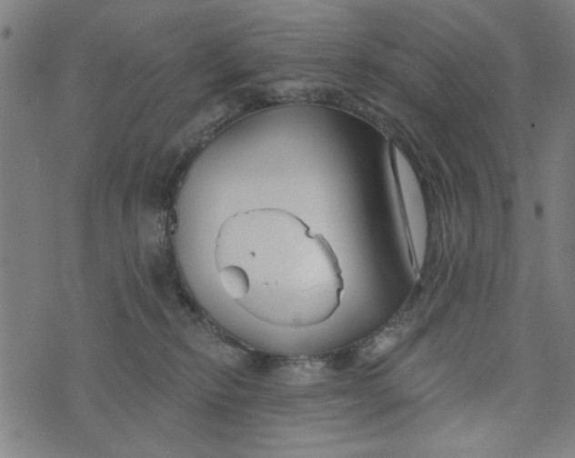 X0000073520278200608211812