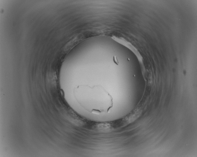 X0000073520279200608211812