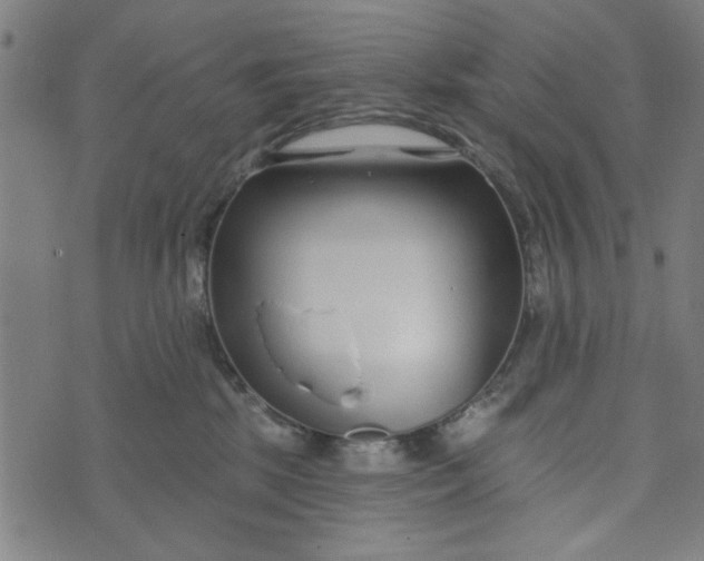 X0000073520281200608211812