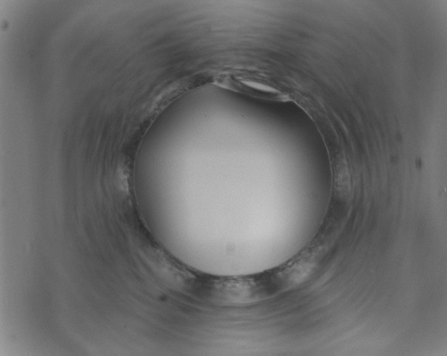 X0000073520282200608211812