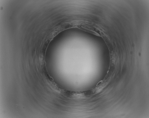 X0000073520283200608211812