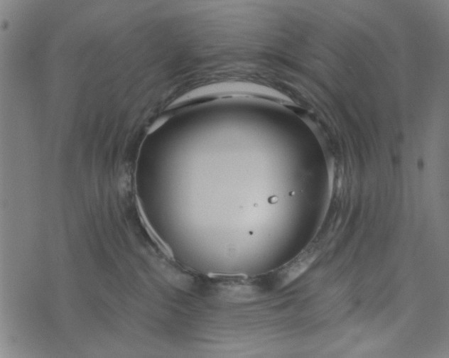 X0000073520284200608211812