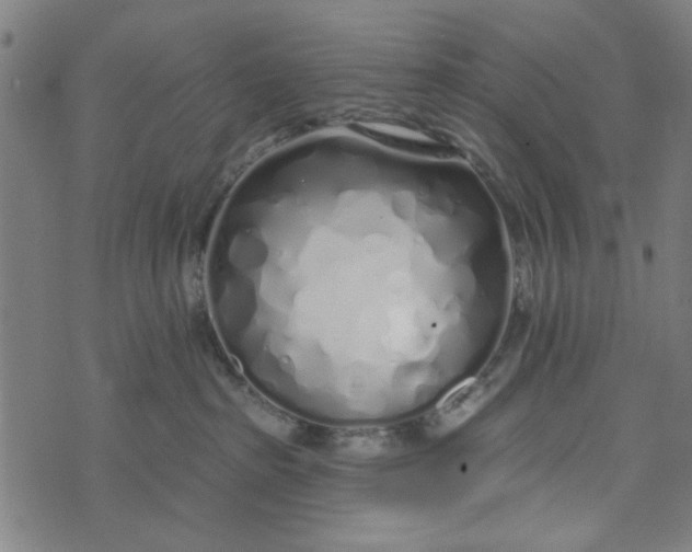 X0000073520285200608211812