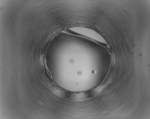 X0000073520286200608211812