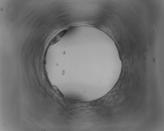 X0000073520289200608211811