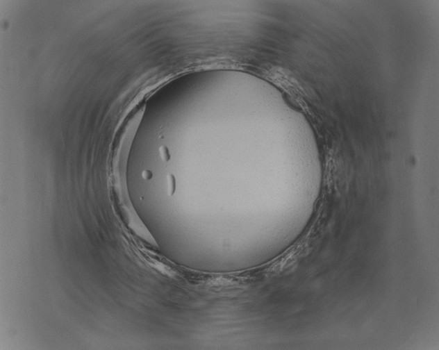 X0000073520290200608211811