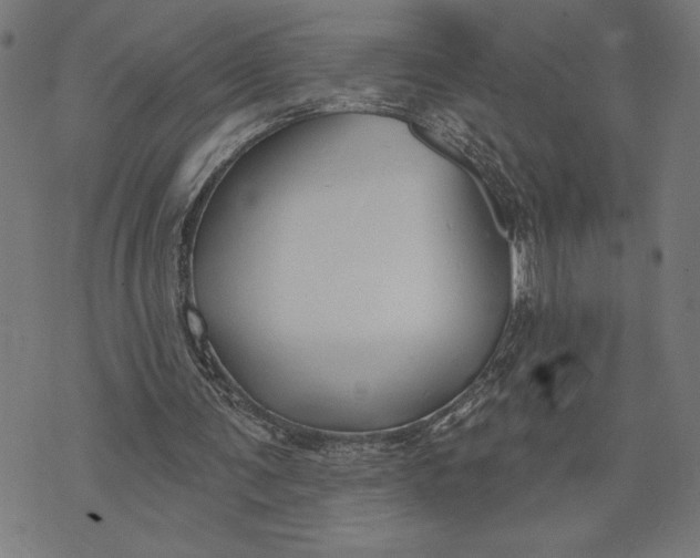 X0000073520291200608211811