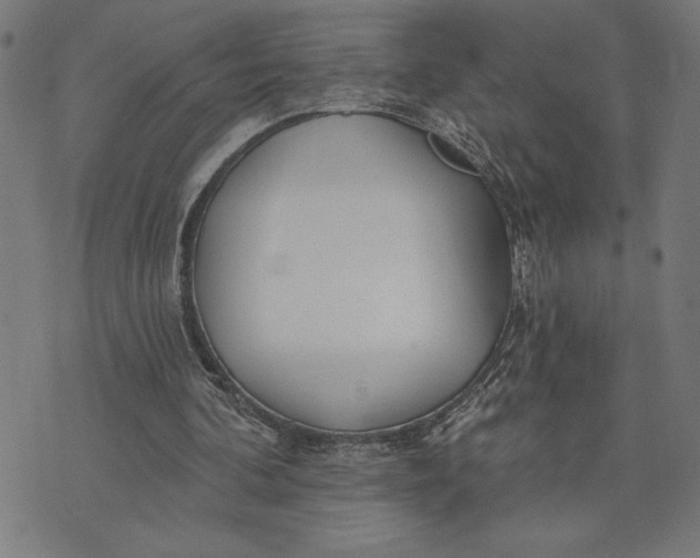 X0000073520292200608211811