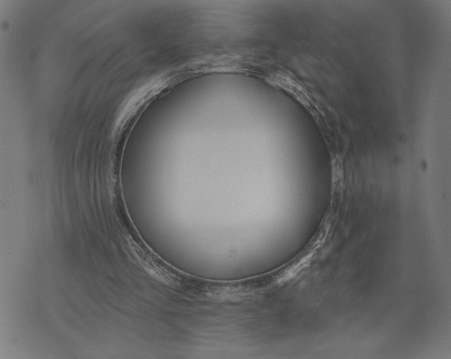 X0000073520293200608211811