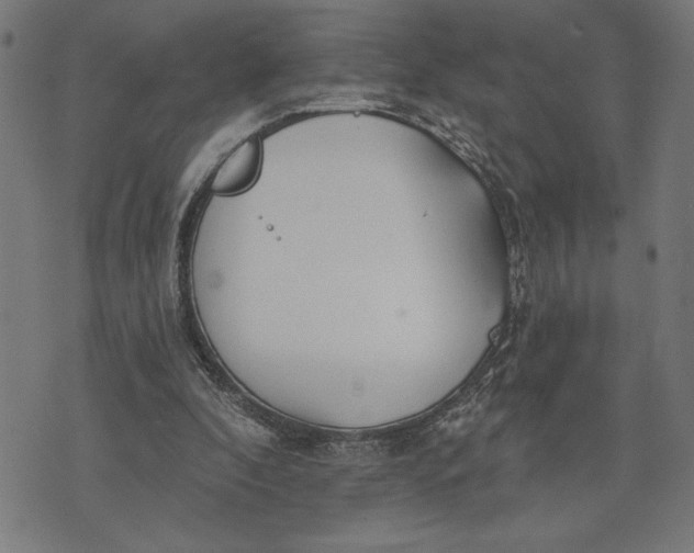 X0000073520296200608211811